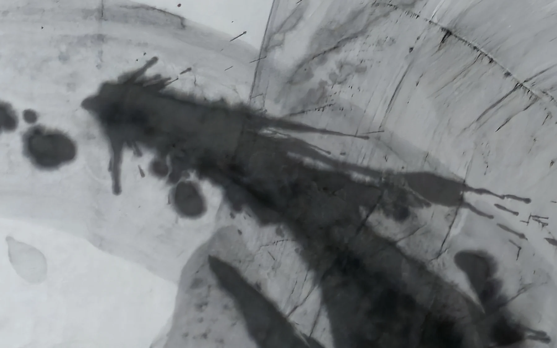 Detail of T_164: the surface at close range