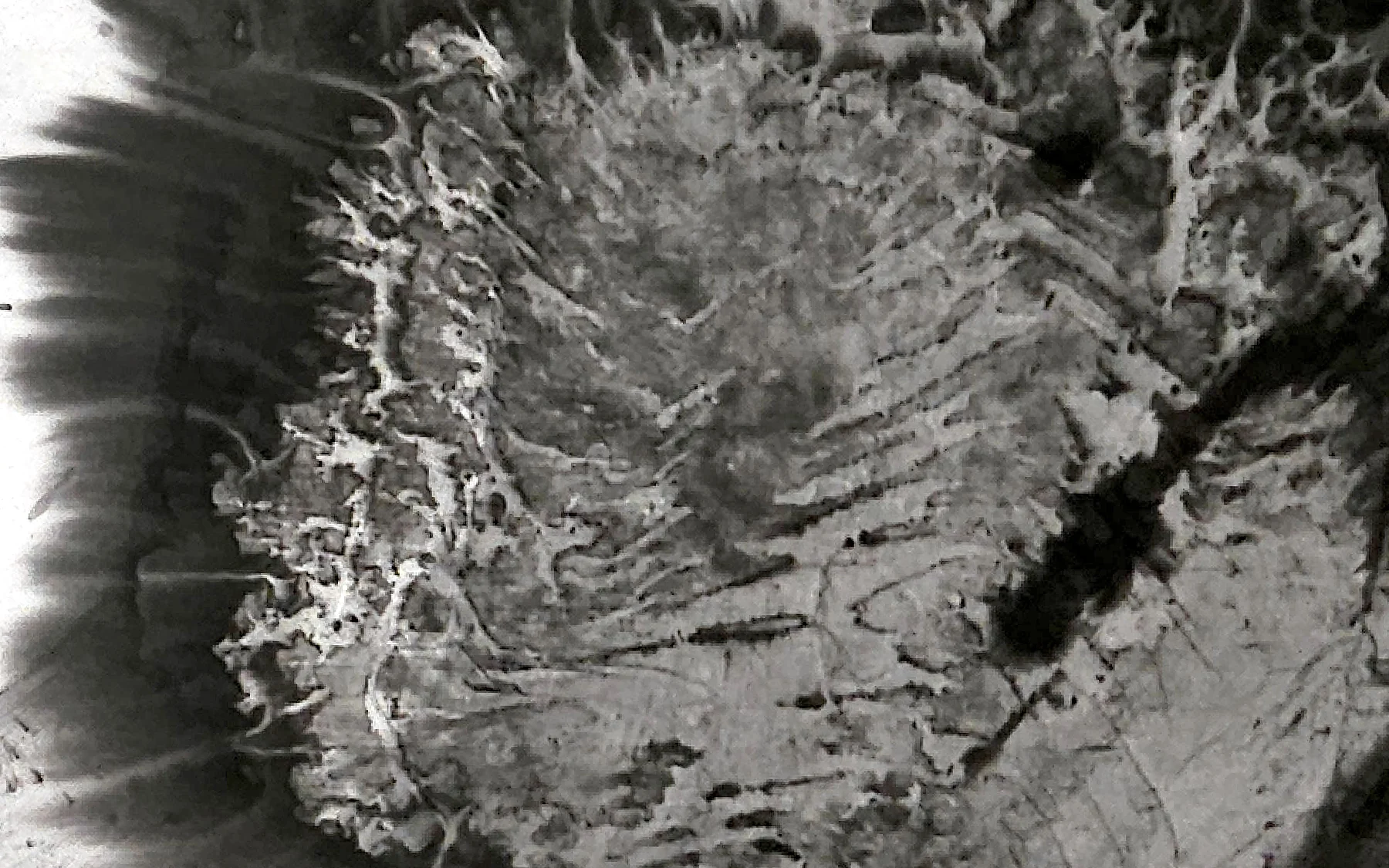 Detail of T_184: the surface at close range
