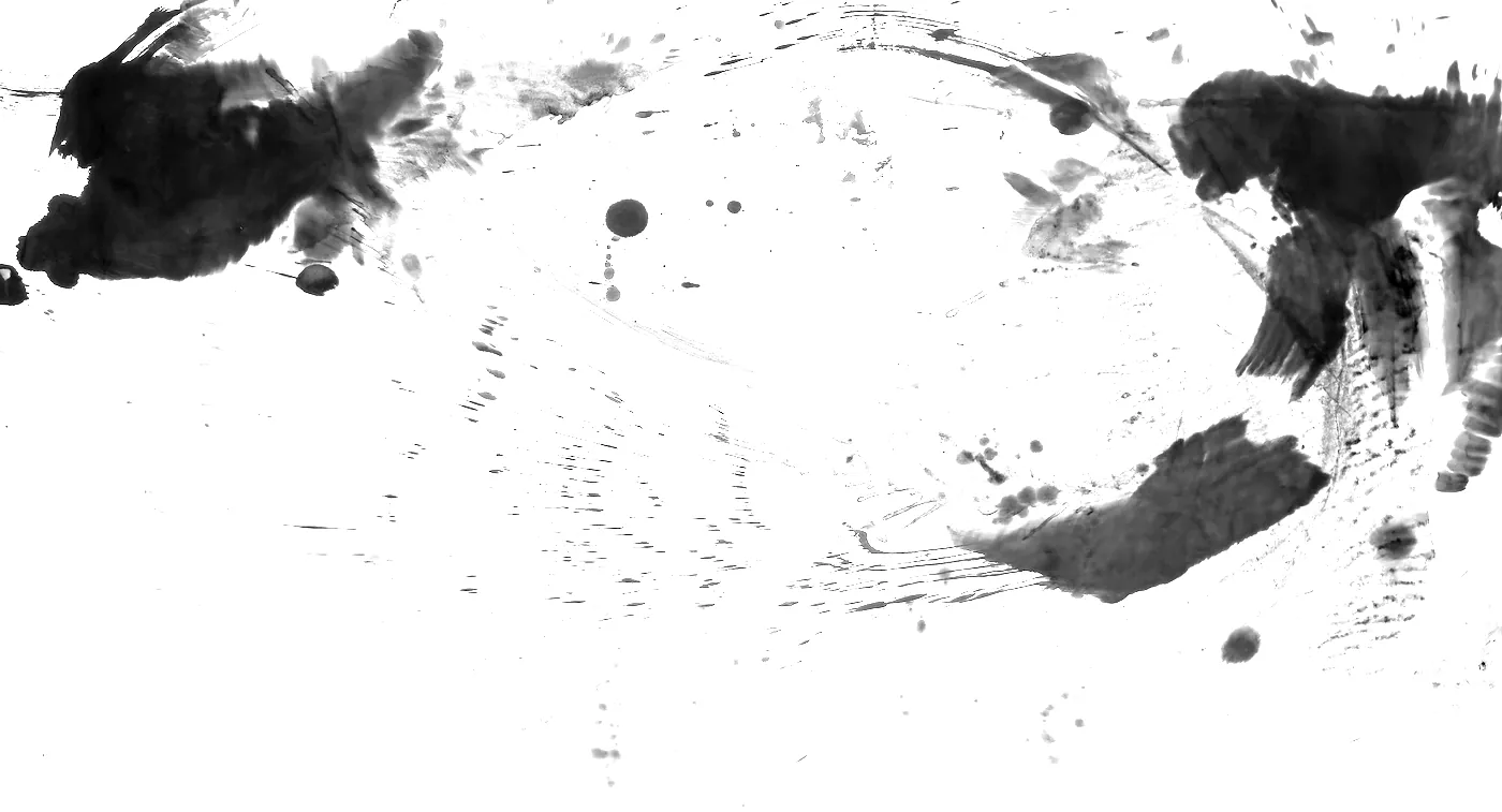 T_193, tone-stretched: what the model was shown