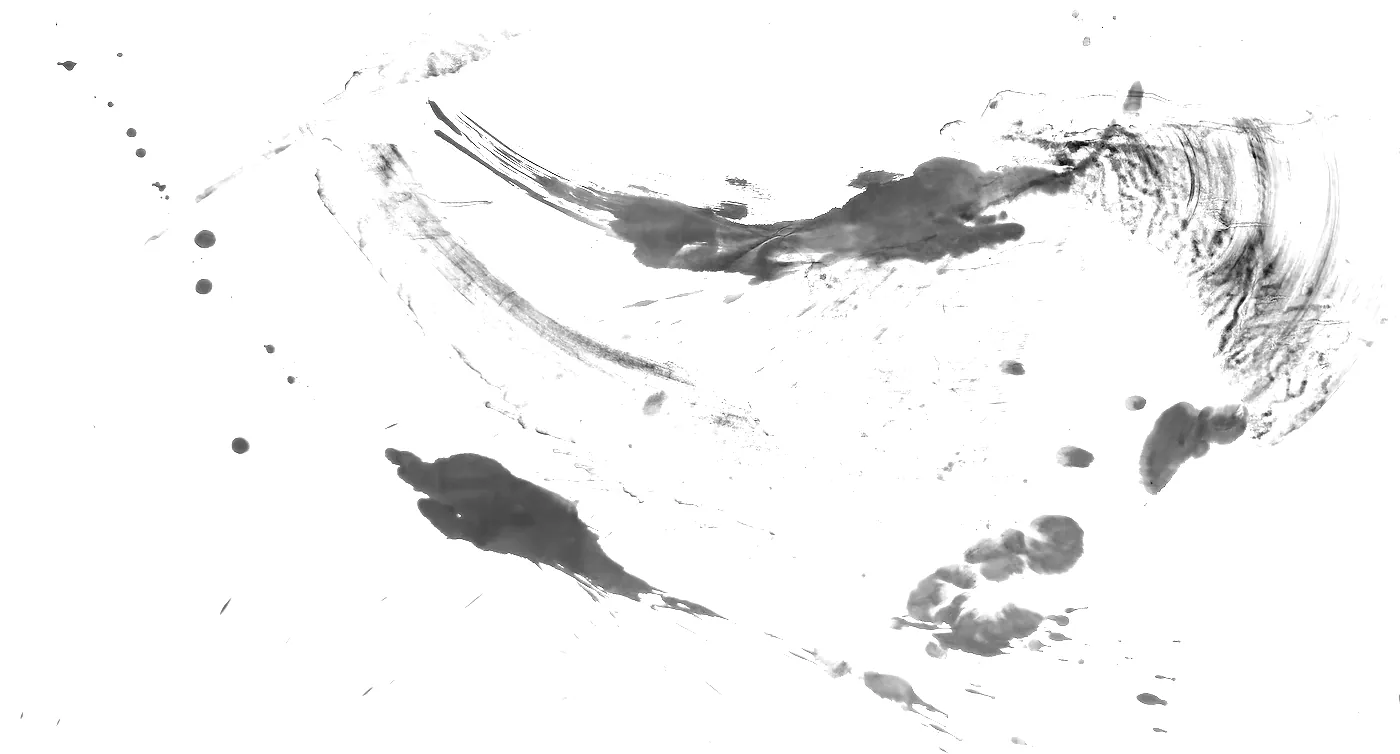 T_194, tone-stretched: what the model was shown