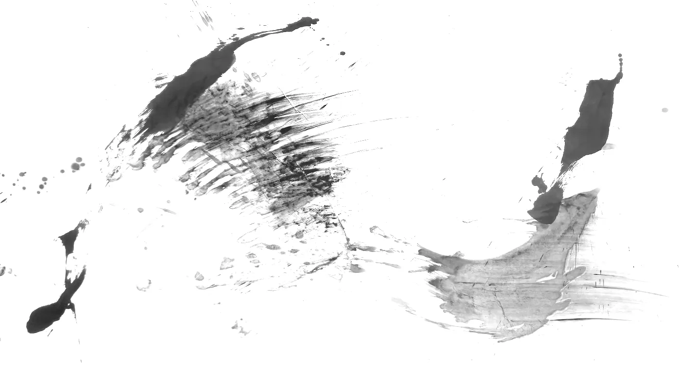 T_196, tone-stretched: what the model was shown
