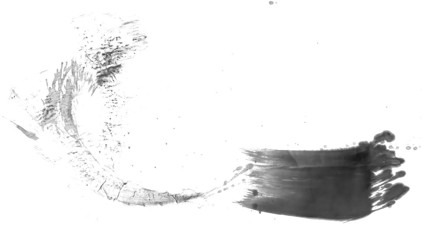 T_199, tone-stretched: what the model was shown