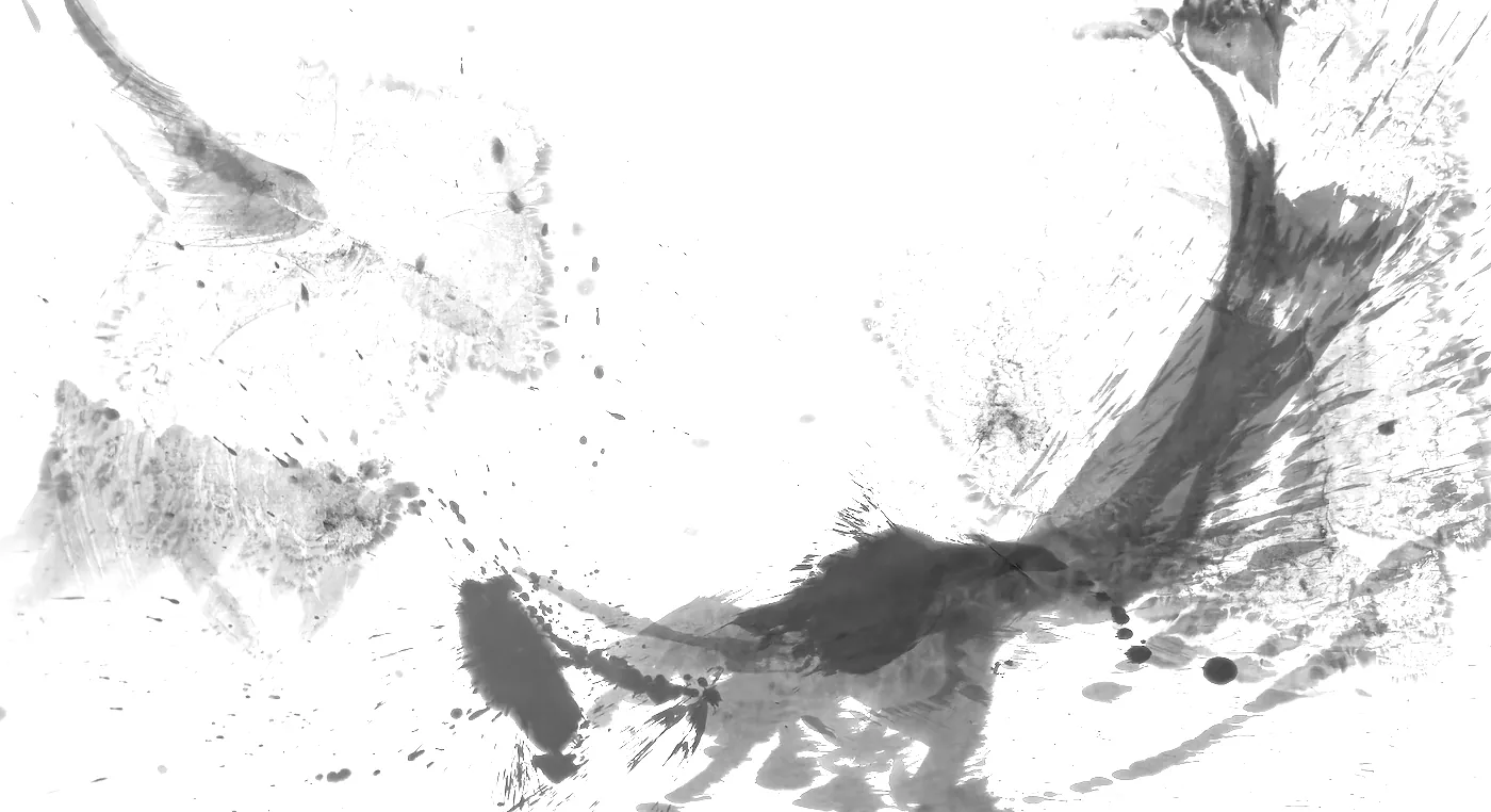 T_219, tone-stretched: what the model was shown