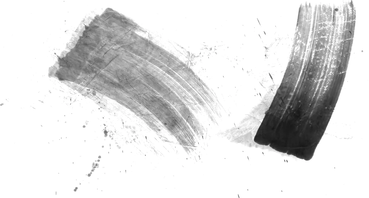 T_220, tone-stretched: what the model was shown
