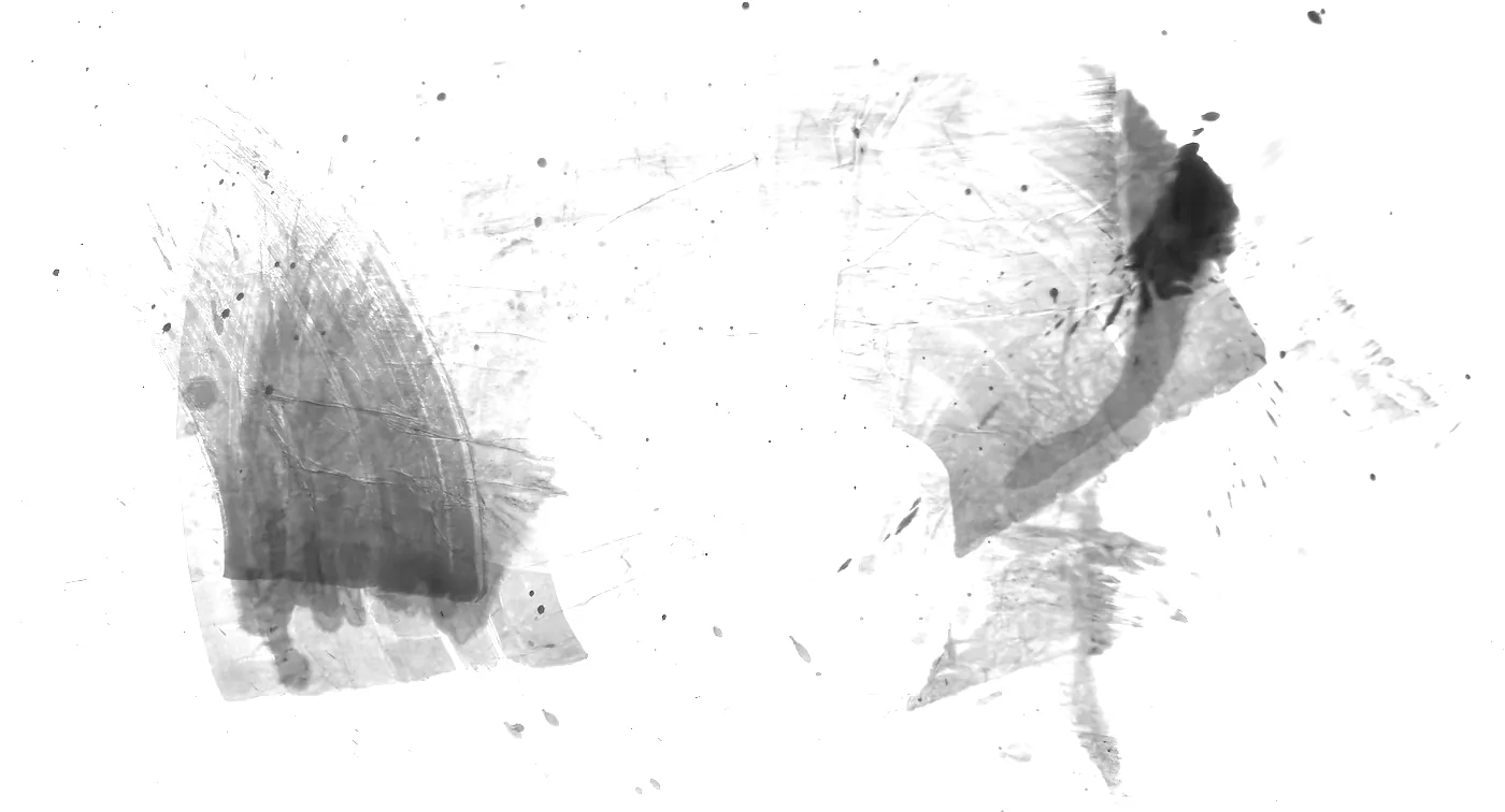 T_224, tone-stretched: what the model was shown