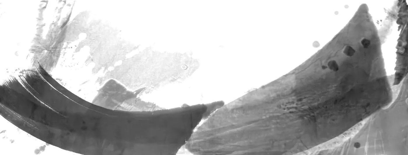 T_255, tone-stretched: what the model was shown