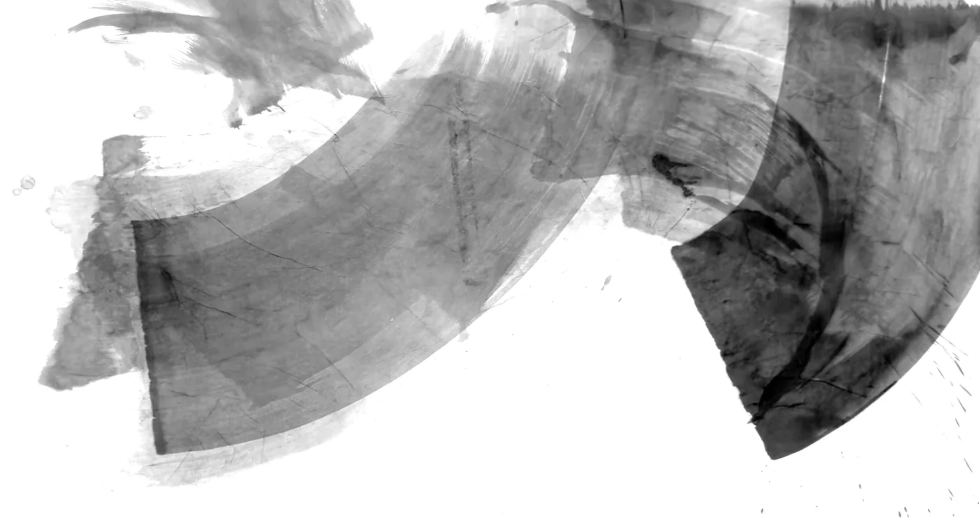 T_264, tone-stretched: what the model was shown