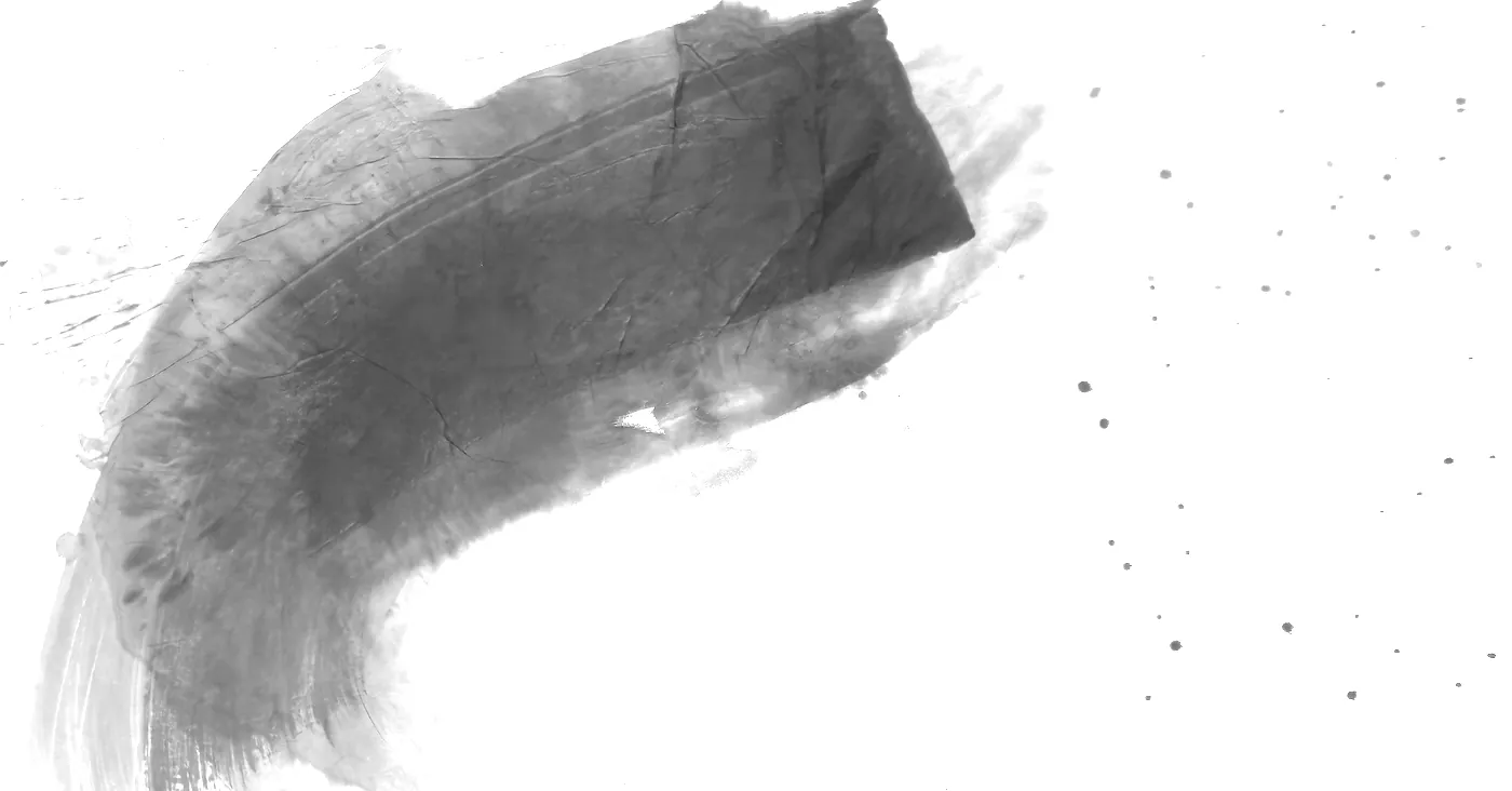 T_282, tone-stretched: what the model was shown