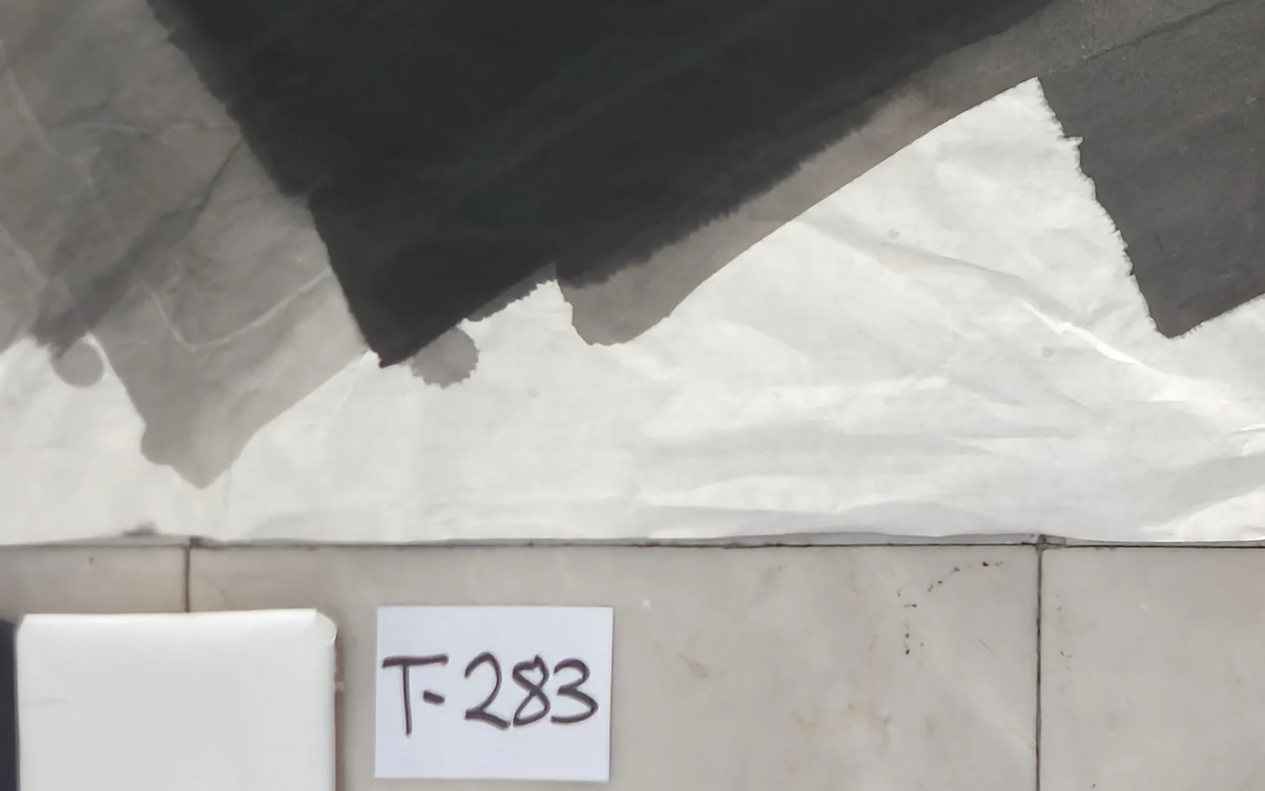 Detail of T_283: the surface at close range