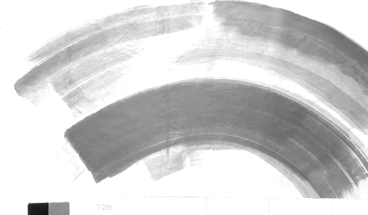 T_283, tone-stretched: what the model was shown