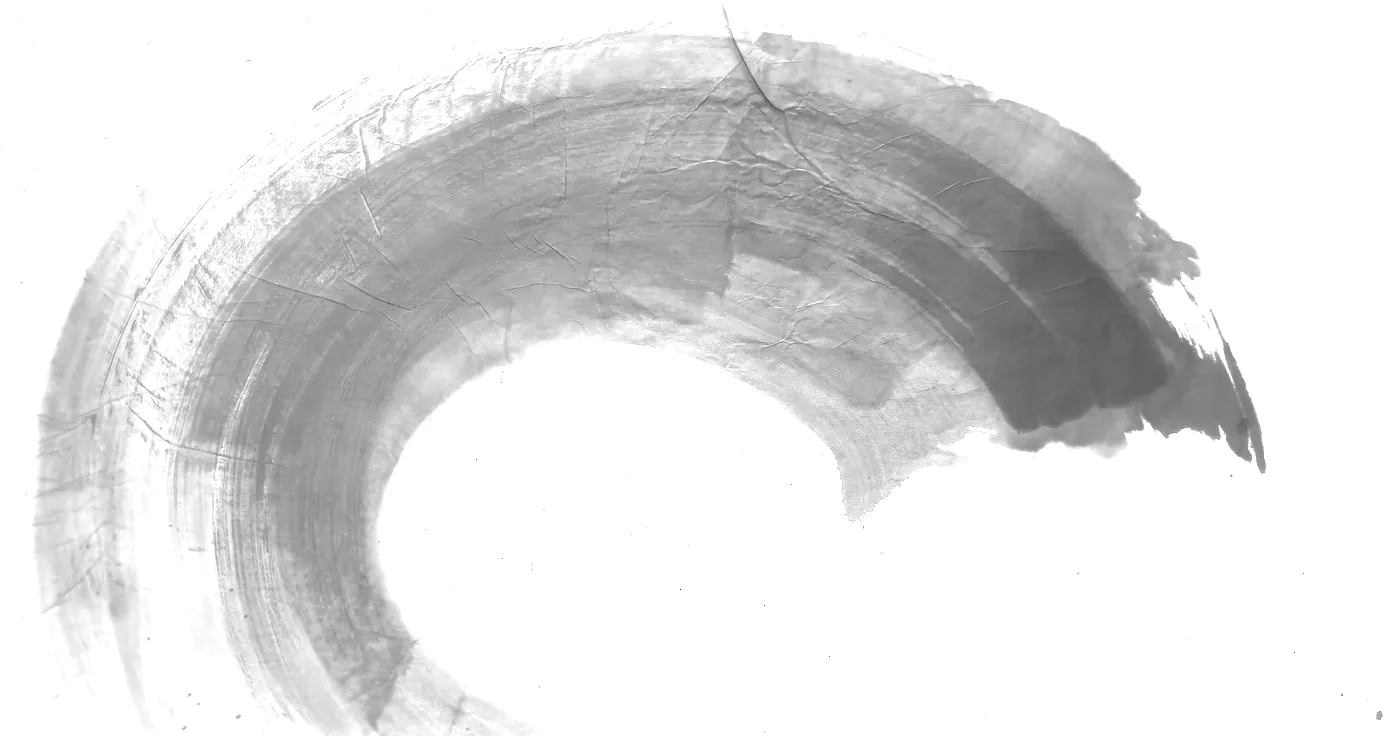 T_290, tone-stretched: what the model was shown