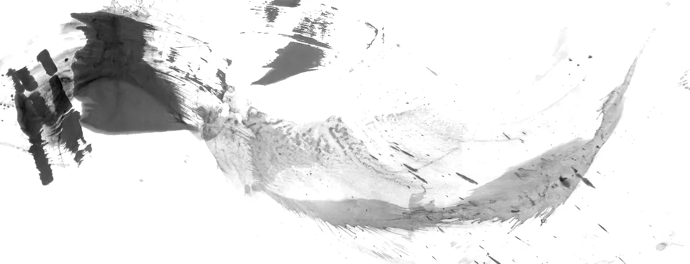 T_302, tone-stretched: what the model was shown