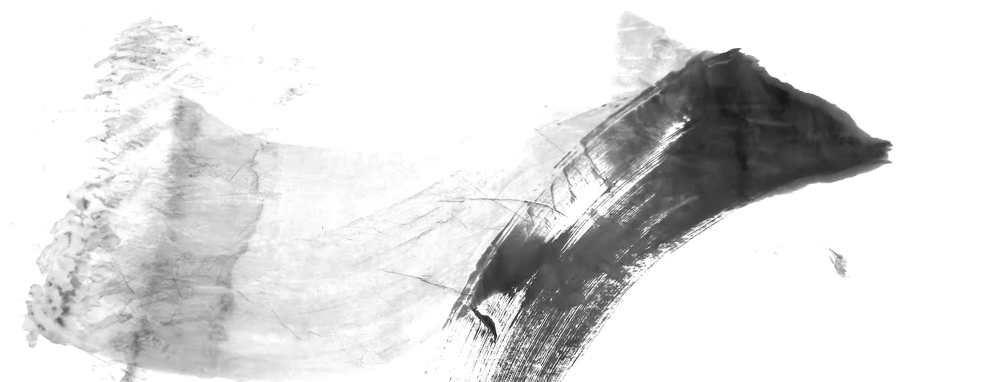 T_303, tone-stretched: what the model was shown