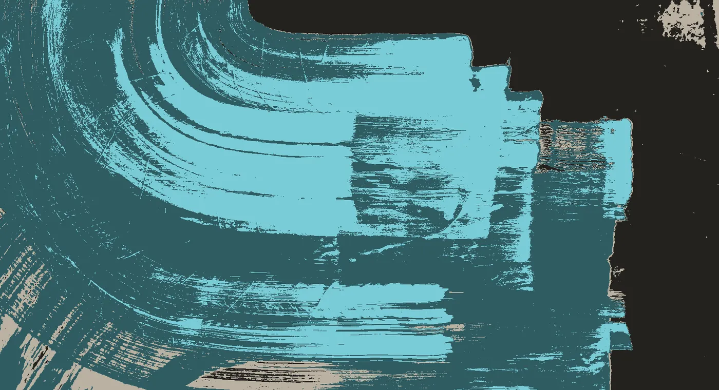 T_305: every pixel as the measuring code classes it