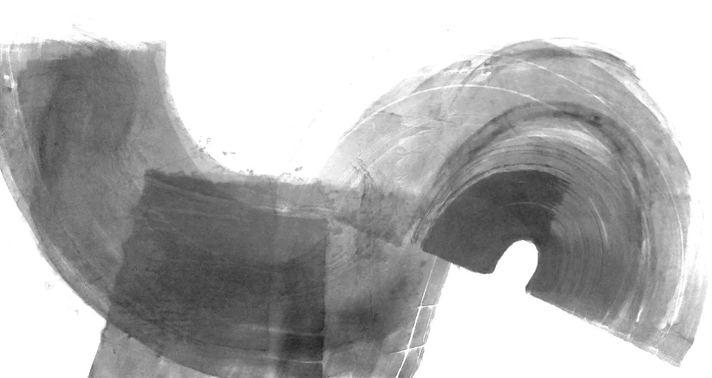 T_314, tone-stretched: what the model was shown
