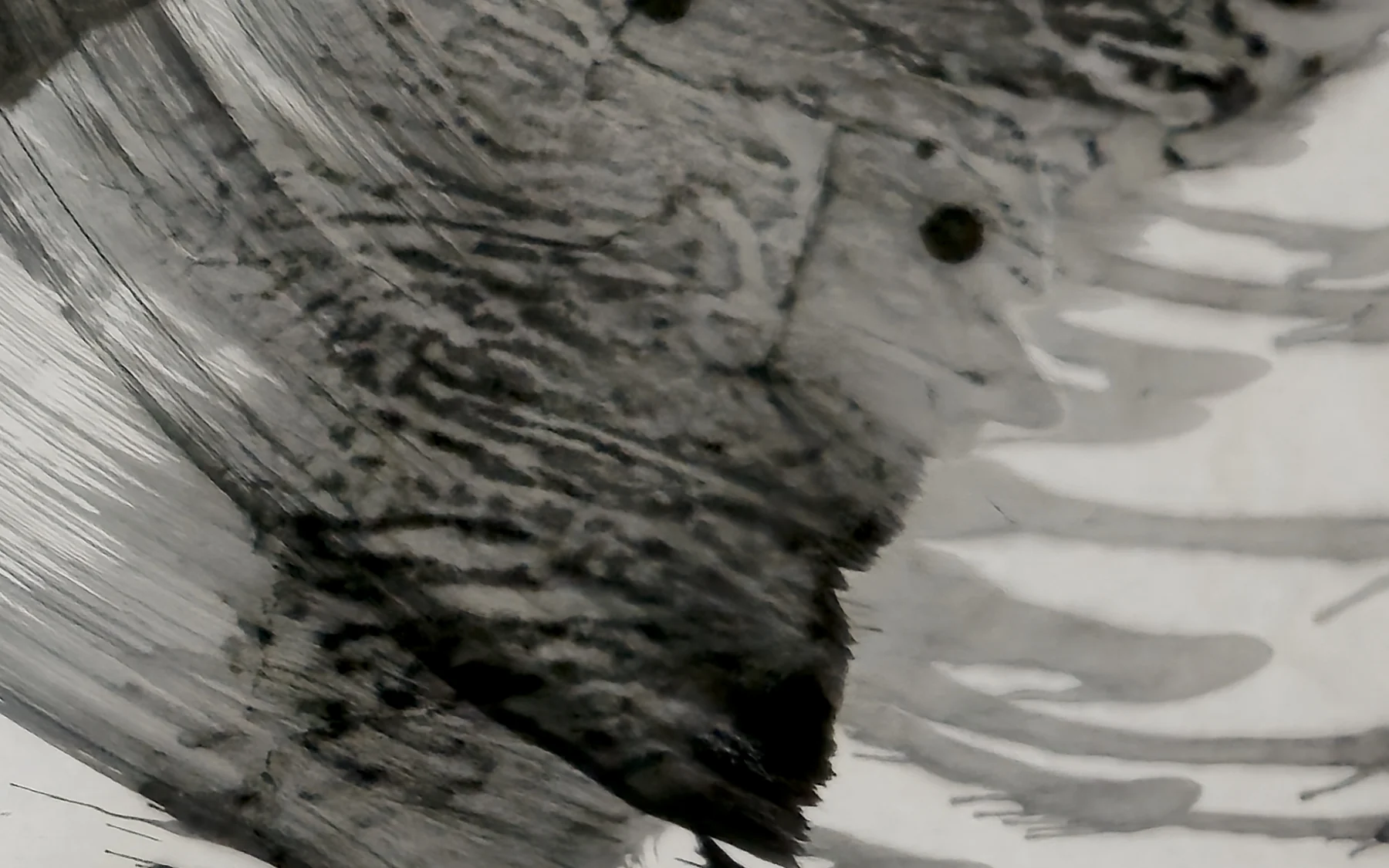 Detail of T_320: the surface at close range