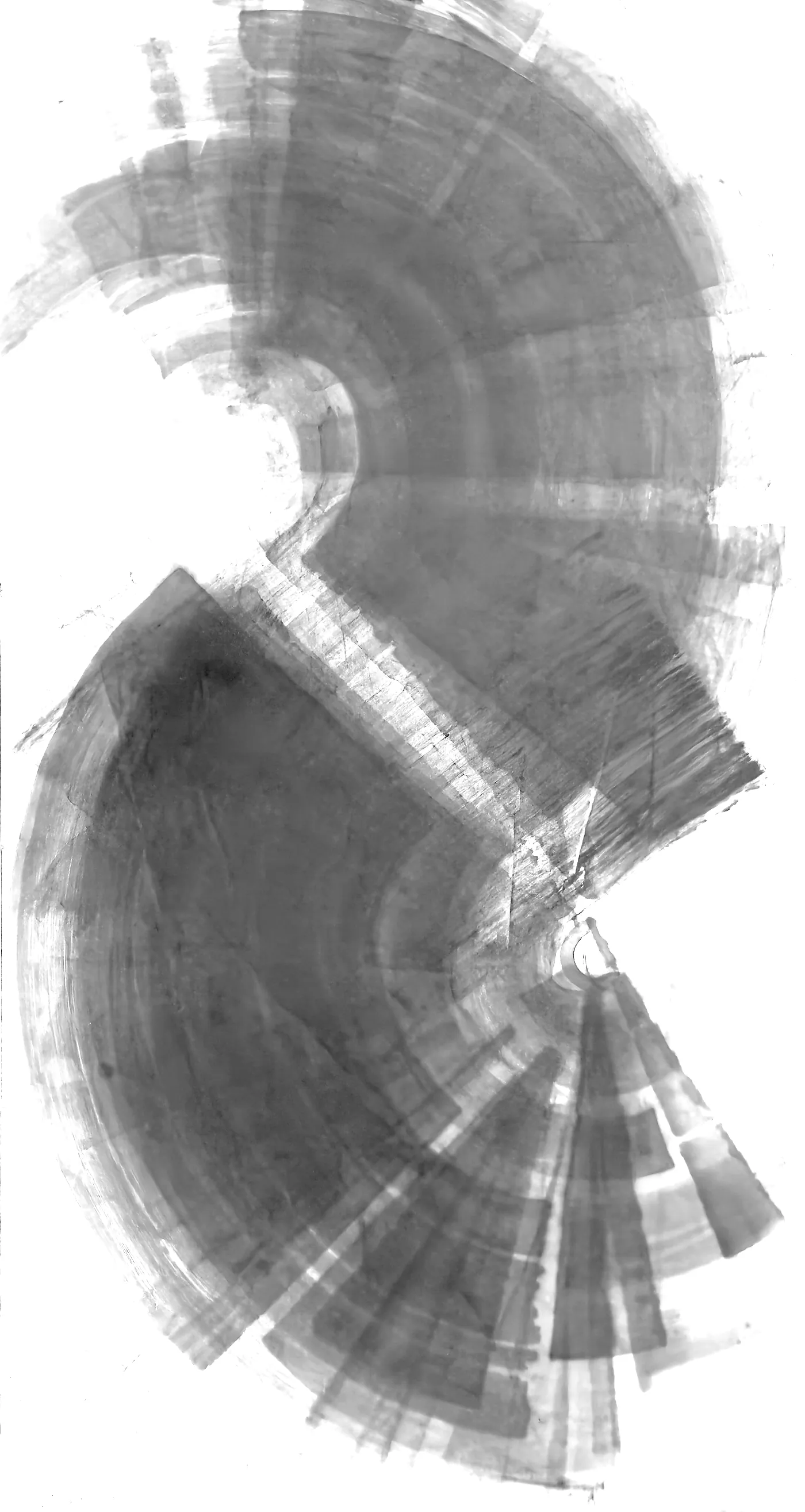 T_355, tone-stretched: what the model was shown