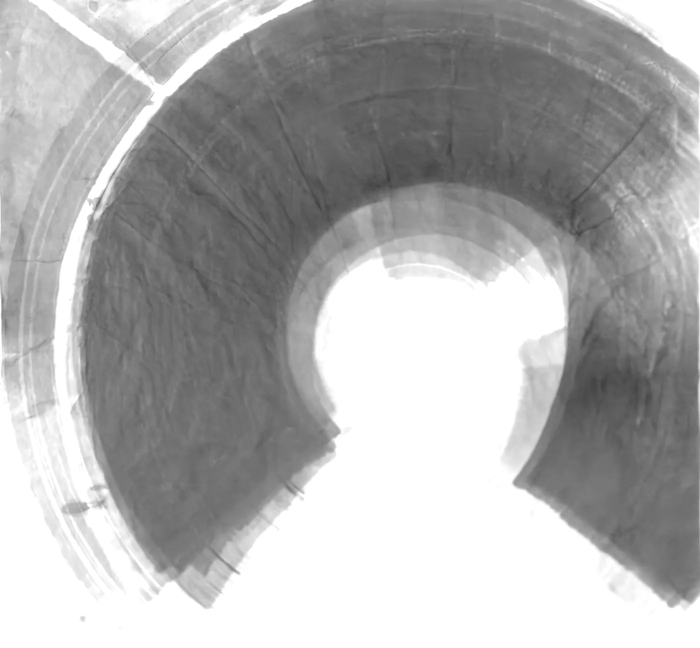 T_373, tone-stretched: what the model was shown